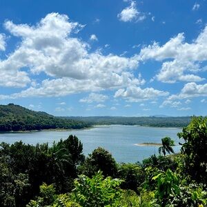 Meet your Posher, Moises